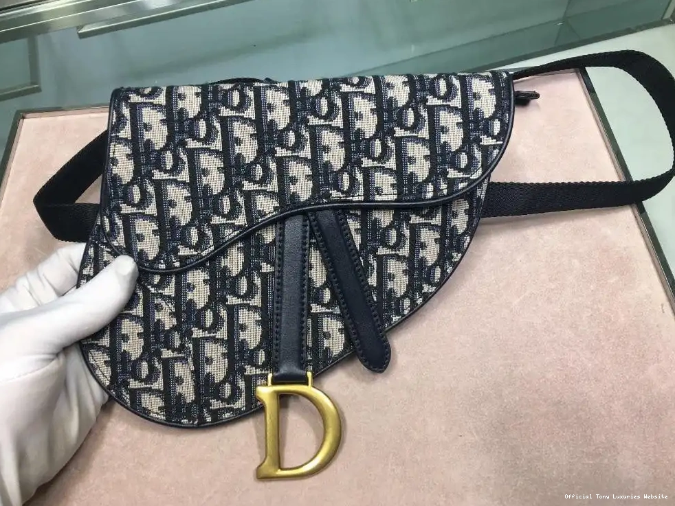 Tony Luxuries OBLIQUE BELT BAG diro 0616